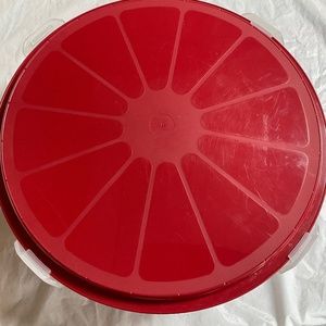 Cake keeper new never used  13 in Round 5 in high